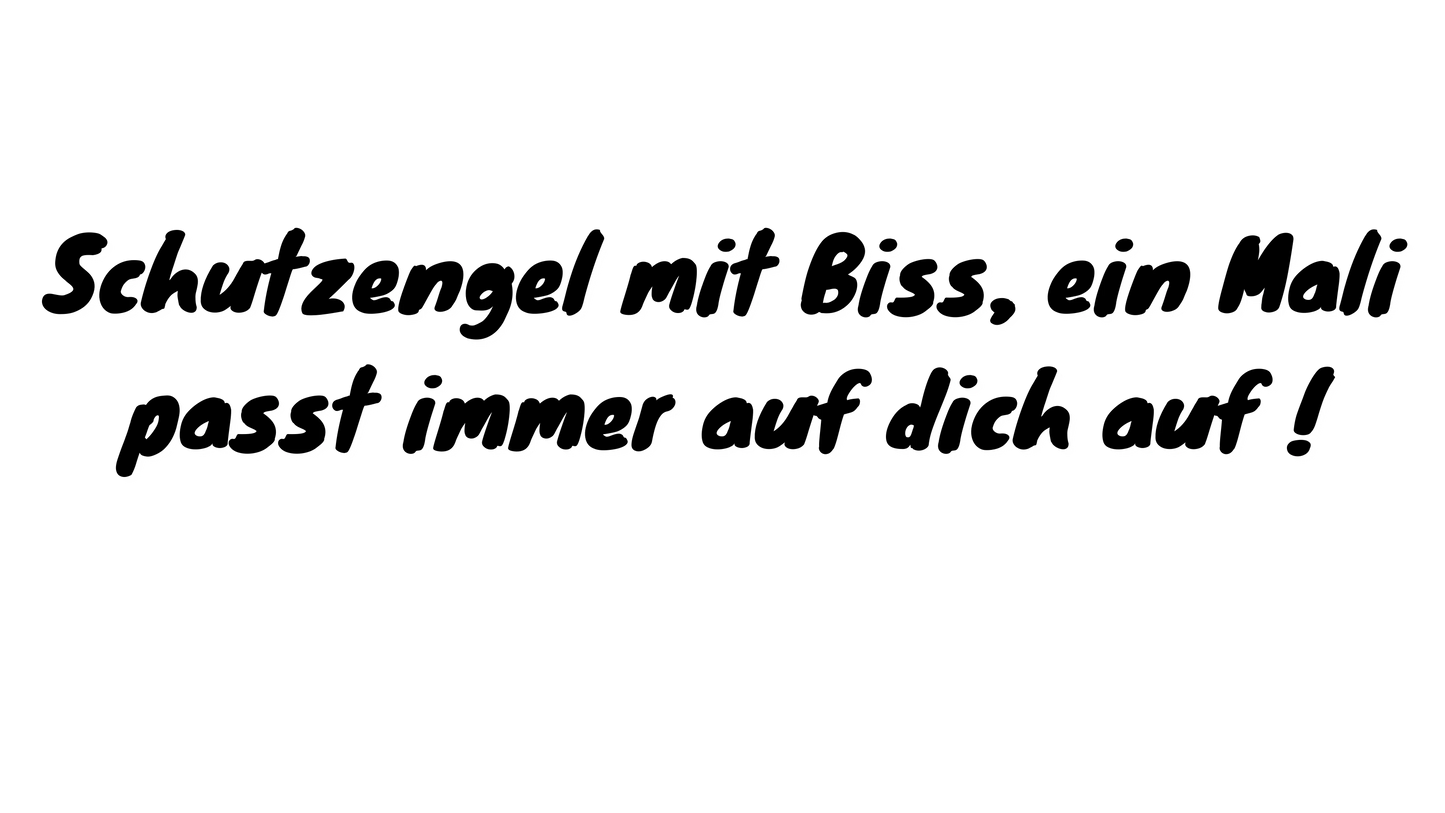 🔥 Crazy-Printz Limited Edition Hoodie – Malinois Watercolor 🔥 - Hoodie im einzigartigen Crazy-Printz Design | Perfekt für Alltag & Style